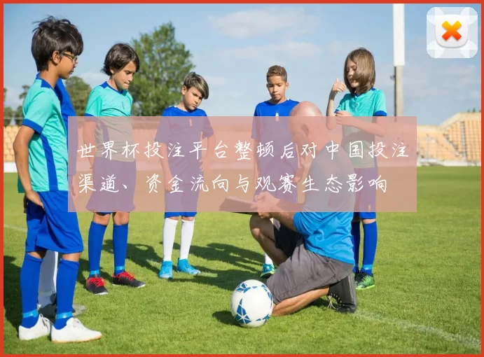 世界杯投注平台整顿后对中国投注渠道、资金流向与观赛生态影响