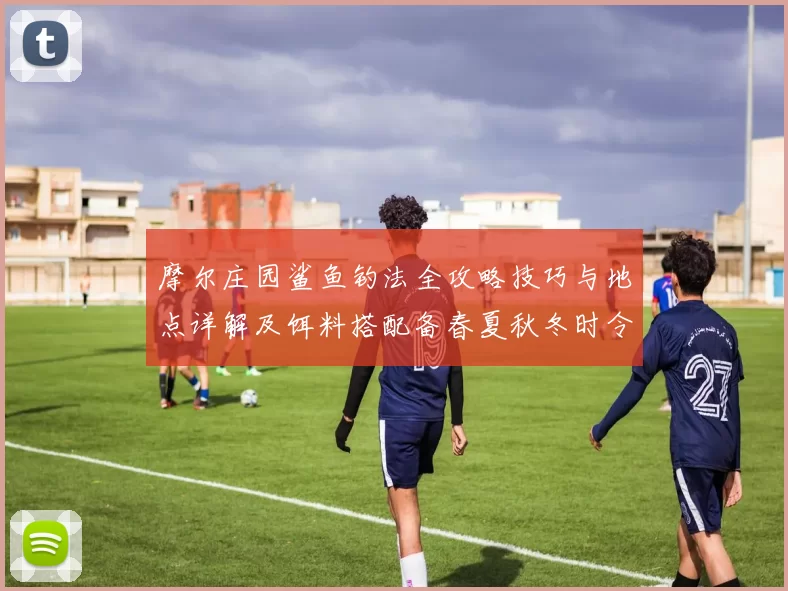 摩尔庄园鲨鱼钓法全攻略技巧与地点详解及饵料搭配备春夏秋冬时令