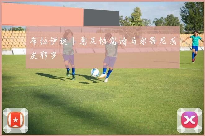 布拉伊达丨意足协需请马尔蒂尼或皮耶罗