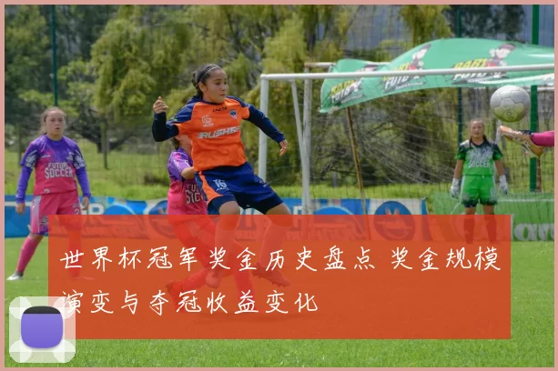 世界杯冠军奖金历史盘点 奖金规模演变与夺冠收益变化