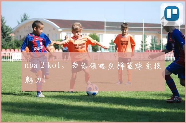 nba 2 kol,带你领略别样篮球竞技魅力!