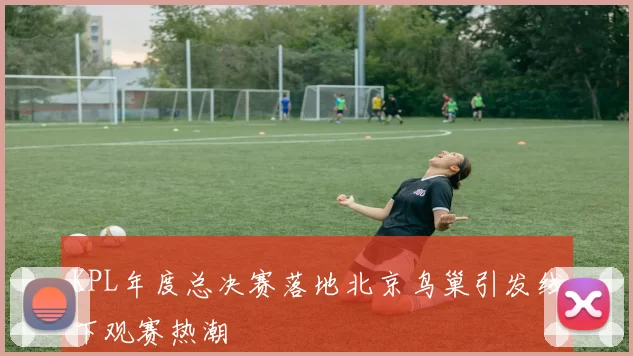 KPL年度总决赛落地北京鸟巢引发线下观赛热潮