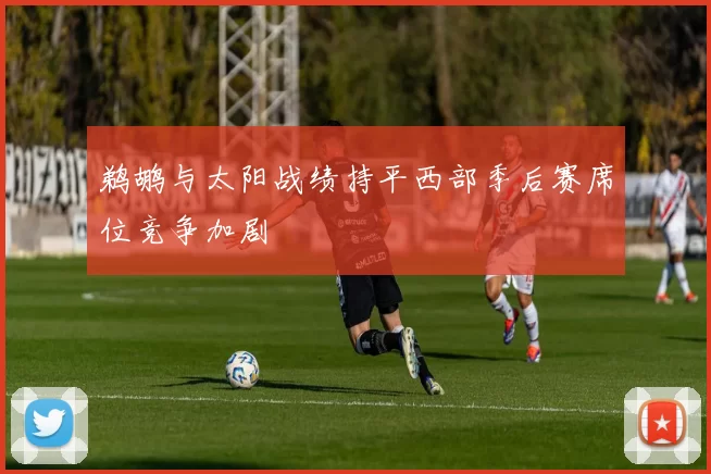 鹈鹕与太阳战绩持平西部季后赛席位竞争加剧