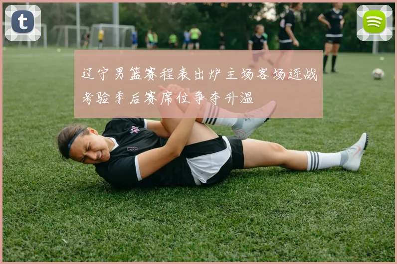辽宁男篮赛程表出炉主场客场连战考验季后赛席位争夺升温