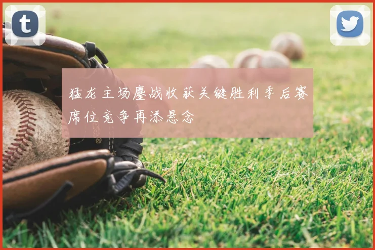 猛龙主场鏖战收获关键胜利季后赛席位竞争再添悬念